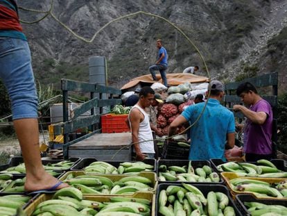 Trabalhadores transportam produtos agrícolas em La Grita (Venezuela).