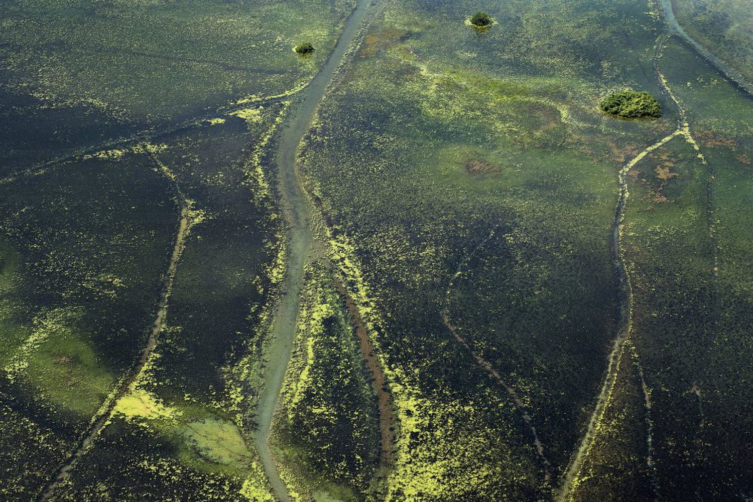 Panorâmica de uma zona florestal ao norte do Estado do Amapá.
