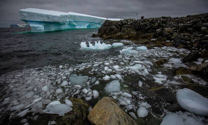 Só a Antártida vinha escapando do aquecimento global. Os últimos estudos mostram, entretanto, que está perdendo gelo desde o começo deste século.