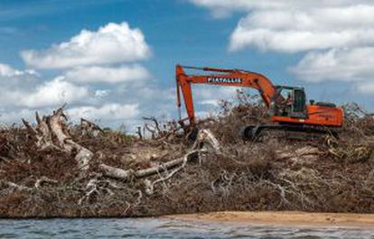 Ilha do Xingu sendo derrubada por causa da hidrelétrica.