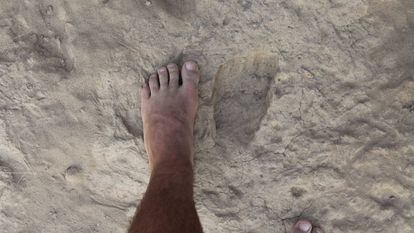 Um pé comparado com uma pegada fóssil de 'Homo erectus'.