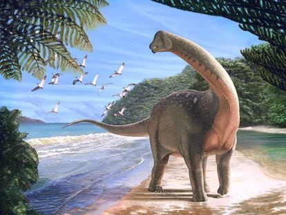 Reconstrução de um titanossauro que viveu há 80 milhões de anos.
