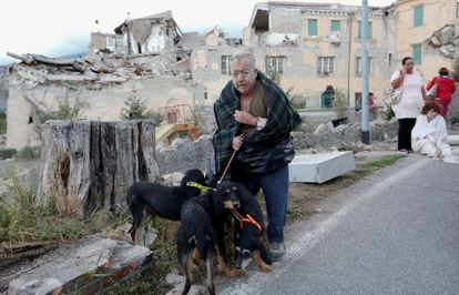 Um homem com seus cachorros em Amatrice, na Itália, após o terremoto desta quarta.