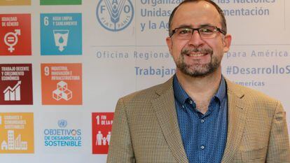 Rafael Zavala, representante da FAO no Brasil