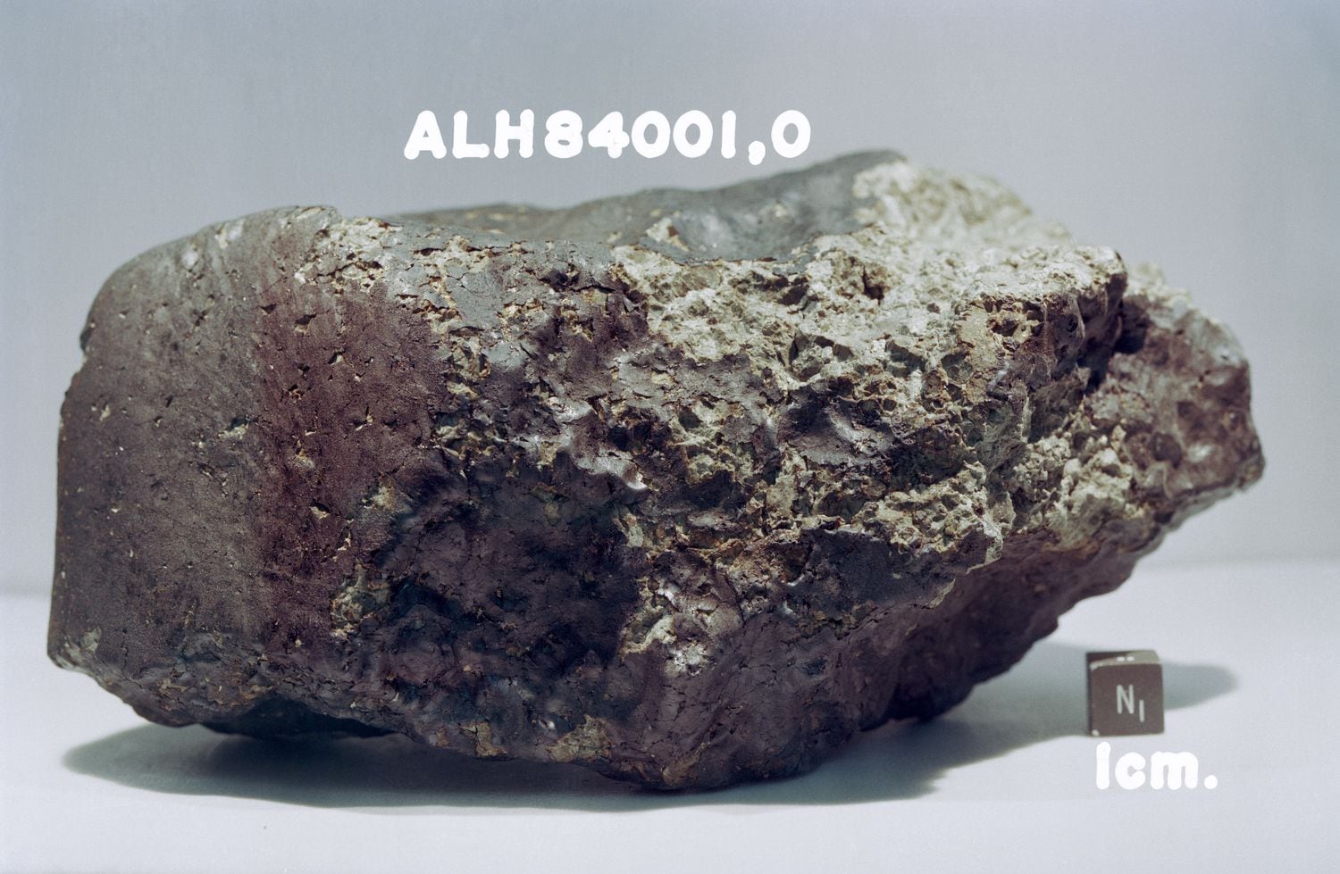 O meteorito ALH84001, em que se pensou que teriam sido encontrados indícios de vida marciana.