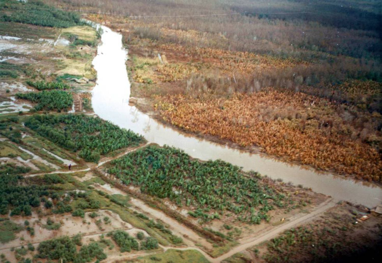 Imagem de novembro de 1962 mostra o efeito do agente laranja na margem direita do rio.