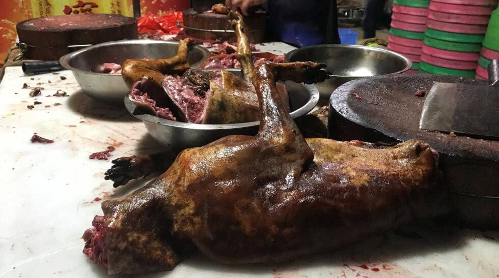 Animais preparados em um restaurante de Yulin.