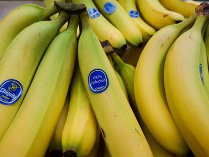 Bananas da Chiquita em um mercado de Washington