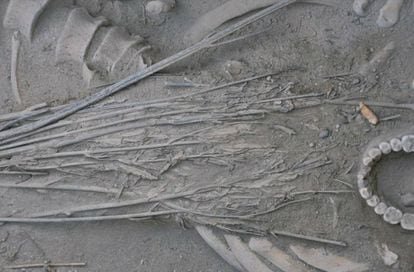 Pesquisadores chineses encontraram caules de maconha usados quase como um sudário em uma tumba no antigo oásis de caravanas de Turfan. Com cerca de 2.500 anos, permitiu comparar sua composição com os restos encontrados nos braseiros.