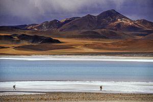 Andarilhos no deserto de Atacama, no Chile.