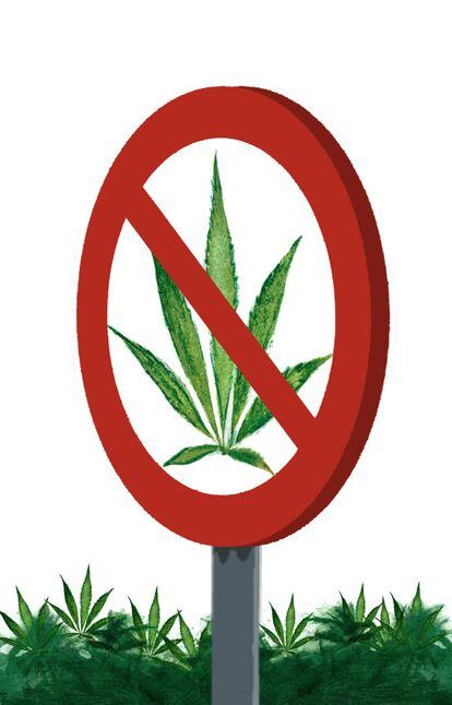 Legalizacion cannabis España