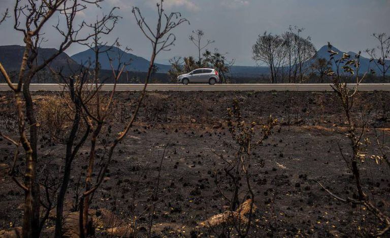 Paisagem destruída pelo fogo na Chapada dos Veadeiros.
