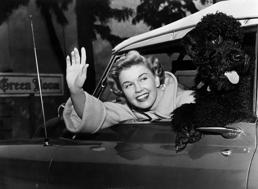 Doris Day no seu carro com seu cão, em 1955. A atriz, que morreu em 2019, passou seus últimos anos encerrada em casa com seus animais.
