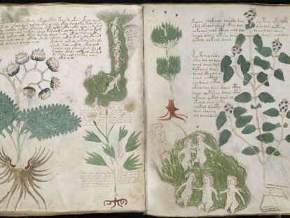 Imagens do 'Códice Voynich'.