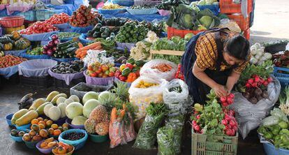 O preço internacional dos alimentos subiu 4% em apenas quatro meses.