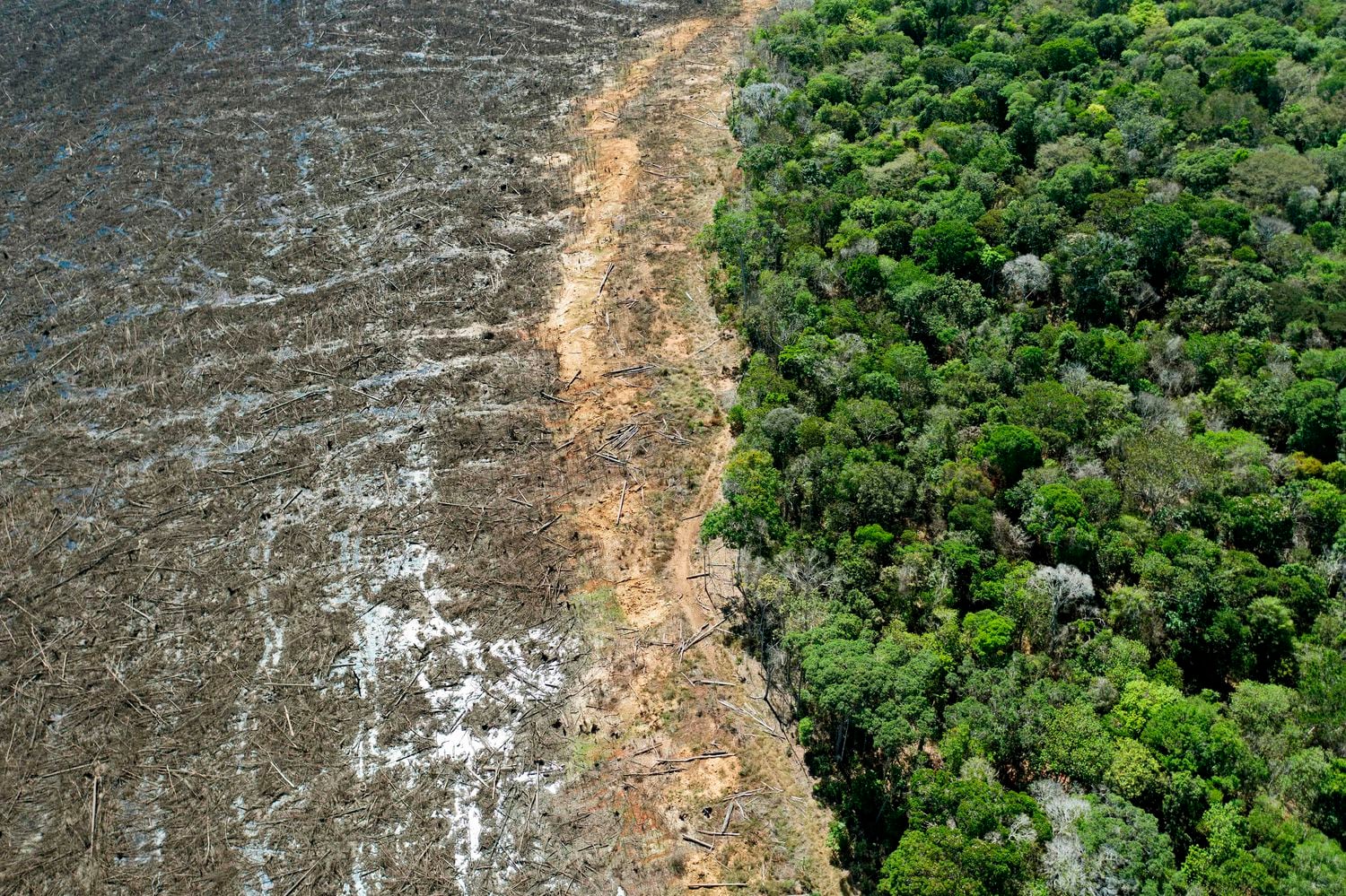 Foto aérea tirada em 07 de agosto de 2020 de uma área desmatada próxima a Sinop, Estado de Mato Grosso, Brasil.