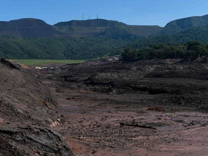 A lama após um mês da ruptura da barragem do Córrego do Feijão, em Brumadinho.