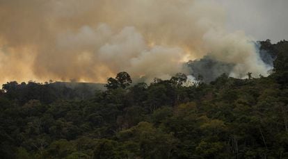 Um incêndio no bosque de Pozuzo, em Peru.
