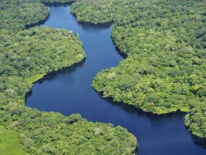 O rio Amazonas atravessa Brasil, Peru e Colômbia, ao longo de seus quase 6.500 quilômetros.
