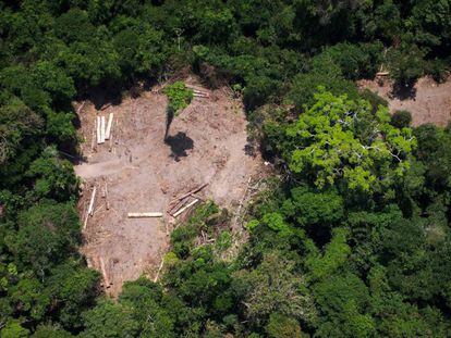 Foto aérea da Amazônia em 13 de outubro de 2014.