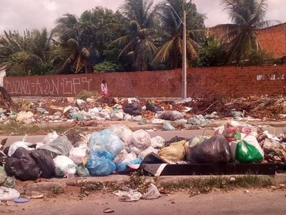 Com redução de coleta de lixo, aspecto de alguns bairros é de completo abandono, como em Genibau