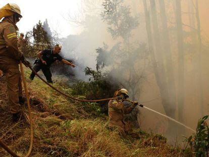 Polícia e bombeiros tentam apagar o fogo perto de Funchal (Ilha da Madeira)