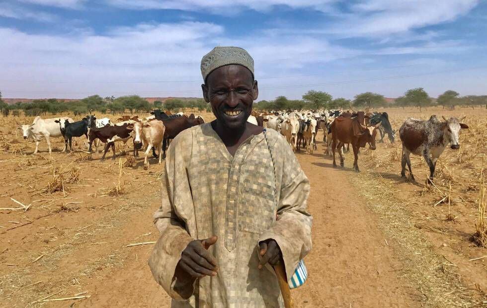 Um pastor fulani com seu gado em Tillaberi, no sul de Níger