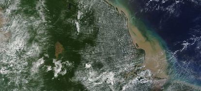 Imagem de satélite da área em que foi encontrado o recife de coral.