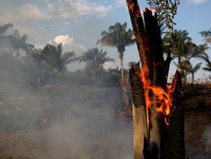 Embora reconheça o problema que antes negava, presidente Bolsonaro insinua que ONGs podem estar por trás das queimadas que já atingem reservas indígenas