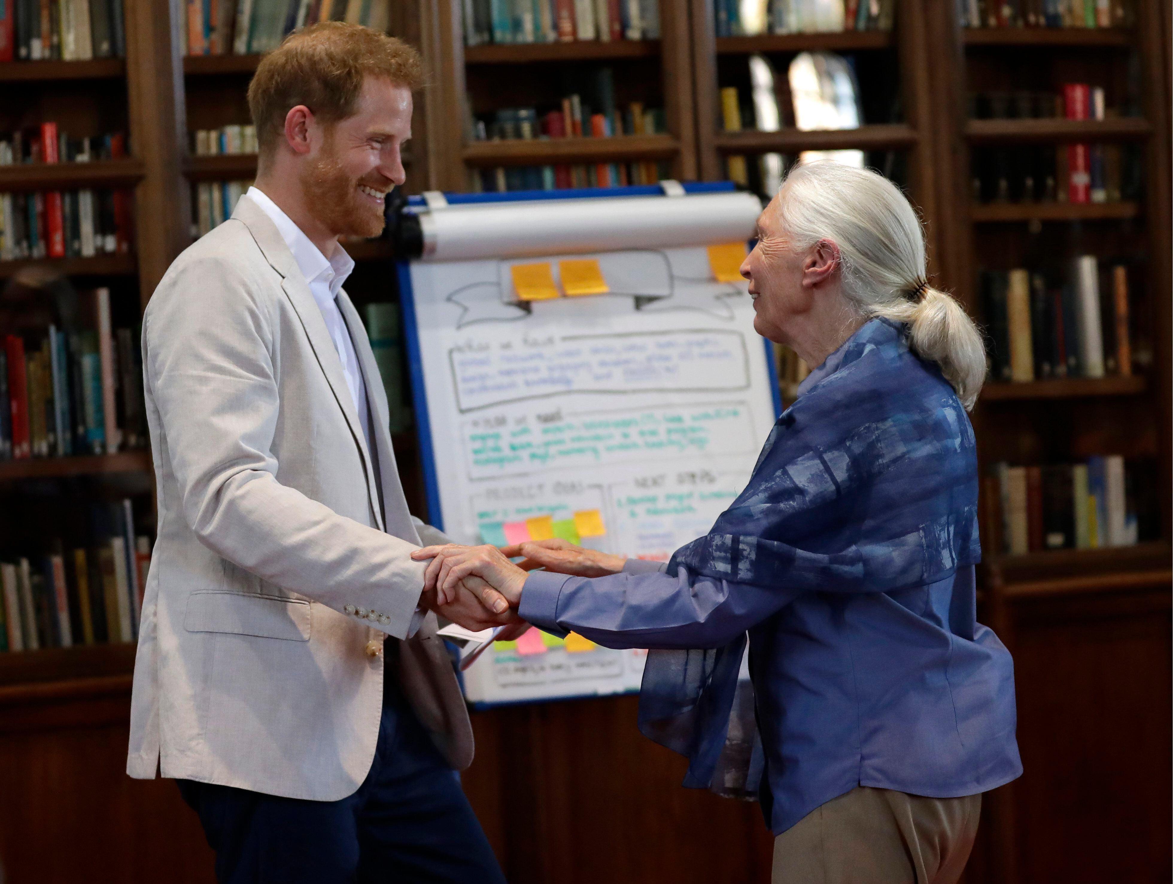 Jane Goodall e o príncipe Harry se cumprimentam em Windsor, en julho de 2019.