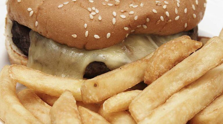 Comidas processadas modificam o cérebro