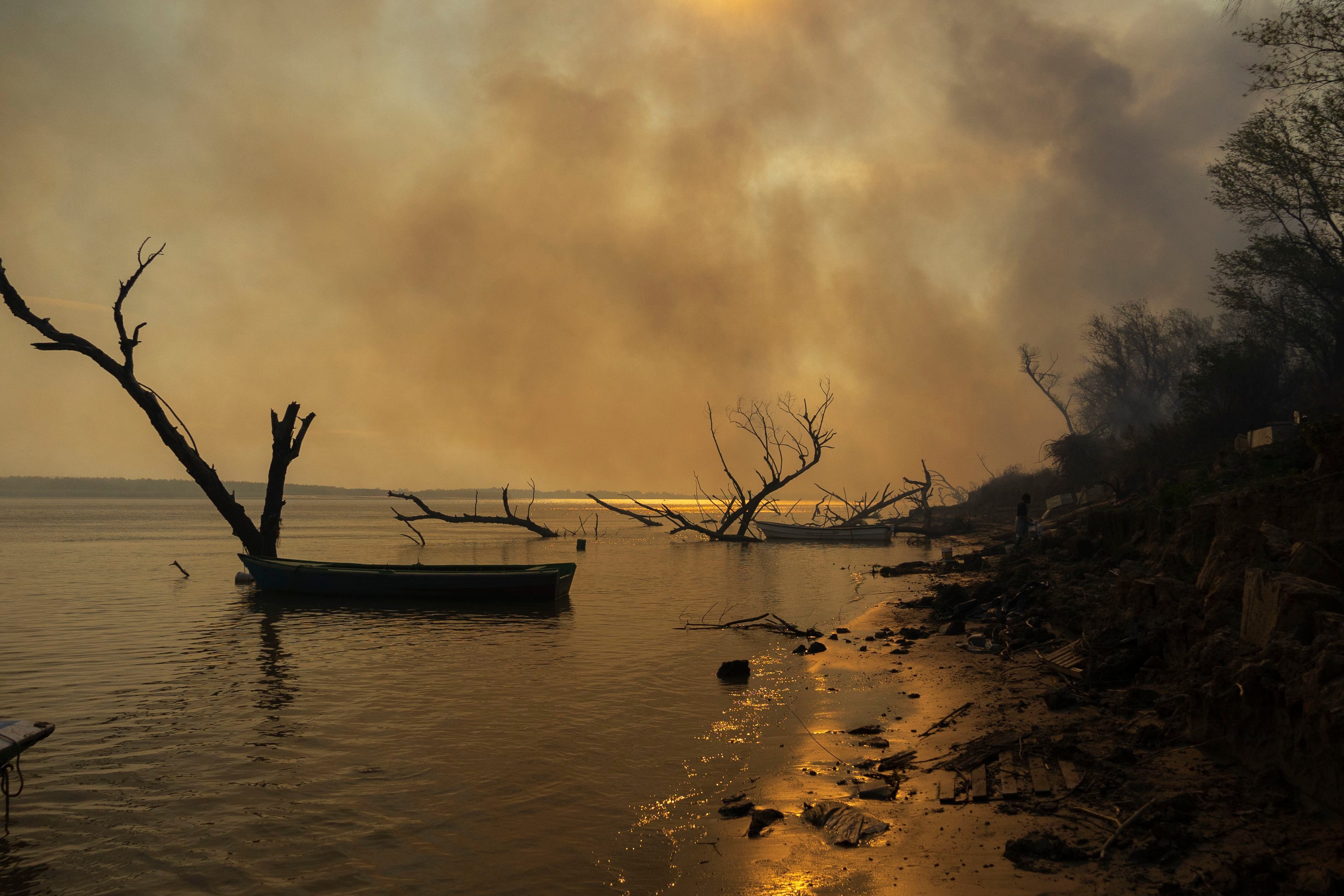 O fogo avança sobre o leito do rio no delta do Paraná. De acordo com o Greenpeace, foram registrados 3.712 focos entre janeiro e meados de maio —época do ano em que geralmente há menos incêndios.