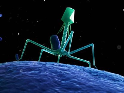 Representação artística de um fago atacando a uma bactéria