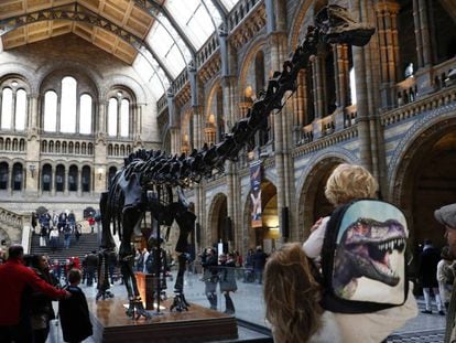 Visitantes no Museu de História Natural de Londres em janeiro.