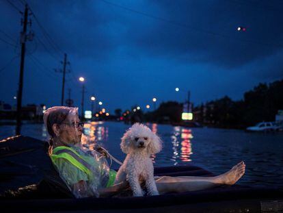 Senhora e seu cachorro esperam para ser resgatados sobre um colchonete neste domingo em Houston. Ao menos 8 morreram por causa da passagem do furacão Harvey.
