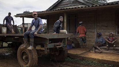 Trabalhadores rurais, provenientes de Santiago de Cuba (sudeste de Cuba), esperam o começo da jornada em uma fazenda em Güira de Melena, na província de Artemisa (oeste).