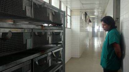 Pesquisadora observa as instalações do biotério da Universidade Central da Venezuela, completamente abandonado.