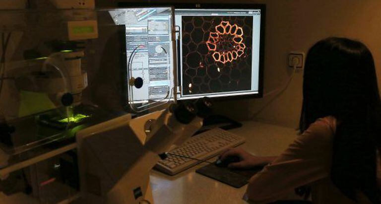 Análise das imagens de um microscópio.
