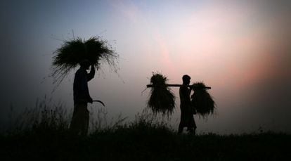 Agricultores em Gauhati (Estado de Assam).