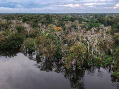 Rio Jarauá, na Reserva de Desenvolvimento Sustentável Mamirauá, Amazonas.