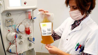 Profissional de saúde segura bolsa de plasma sanguíneo de um doador recuperado da covid-19, em um centro de Bruxelas (Bélgica).