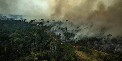 Incêndio em Alta Floresta no Estado do Pará, em 23 de agosto.