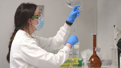 Cientista trabalha em laboratório da AstraZeneca em Sydney (Australia), em 19 de agosto.