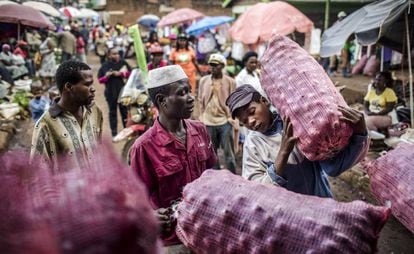 Jovens com sacos de cebolas no mercado local de Meru (Quênia)