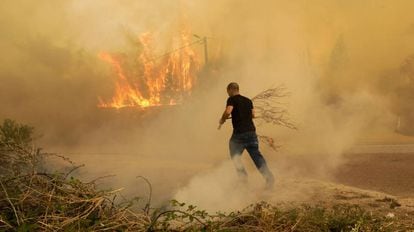 Incêndio em Portugal no domingo.