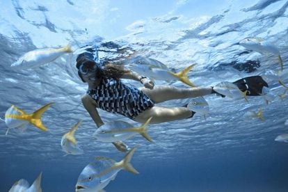 Uma mulher mergulha no recife mesoamericano no Caribe.