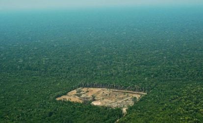 Imagem de setembro de 2017 de região desmatada na região da Amazônia brasileira. 
