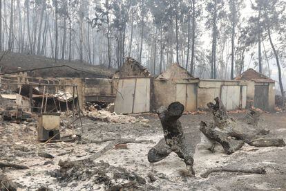 Várias casas danificadas pelo fogo em Nodeirinho, perto de Pedrógão Grande (Portugal).