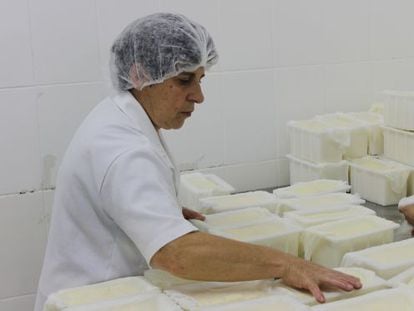 Fábrica de queijos em Santa Catarina.