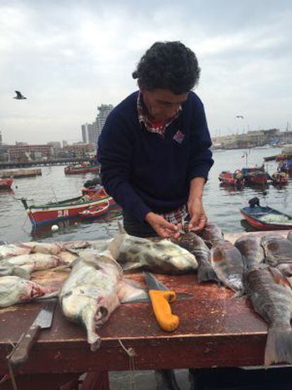 Uma peixaria no porto da cidade chilena de Antofagasta.